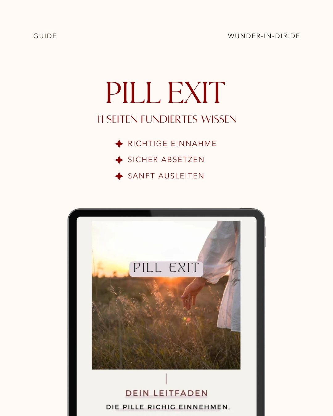 PILL EXIT - Die Pille richtig einnehmen, absetzen, ausleiten - dein Guide