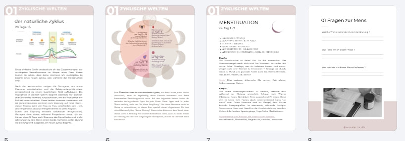 hormone verstehen, im einklang mit dem zyklus leben, pms und pmds verringern