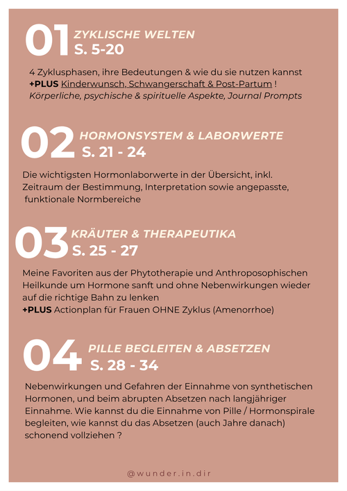 eBook- Hormonweise - Dein Begleiter für ein tiefes Verständnis des weiblichen Zyklus und deines Hormonsystems