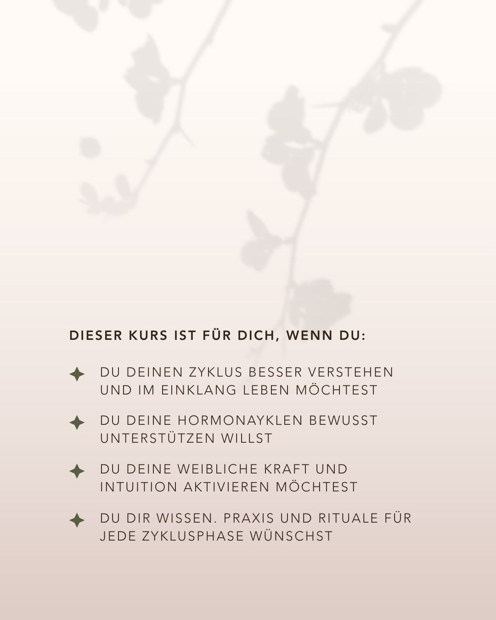 WOMAN CODES - In die Kraft deines Zyklus kommen
