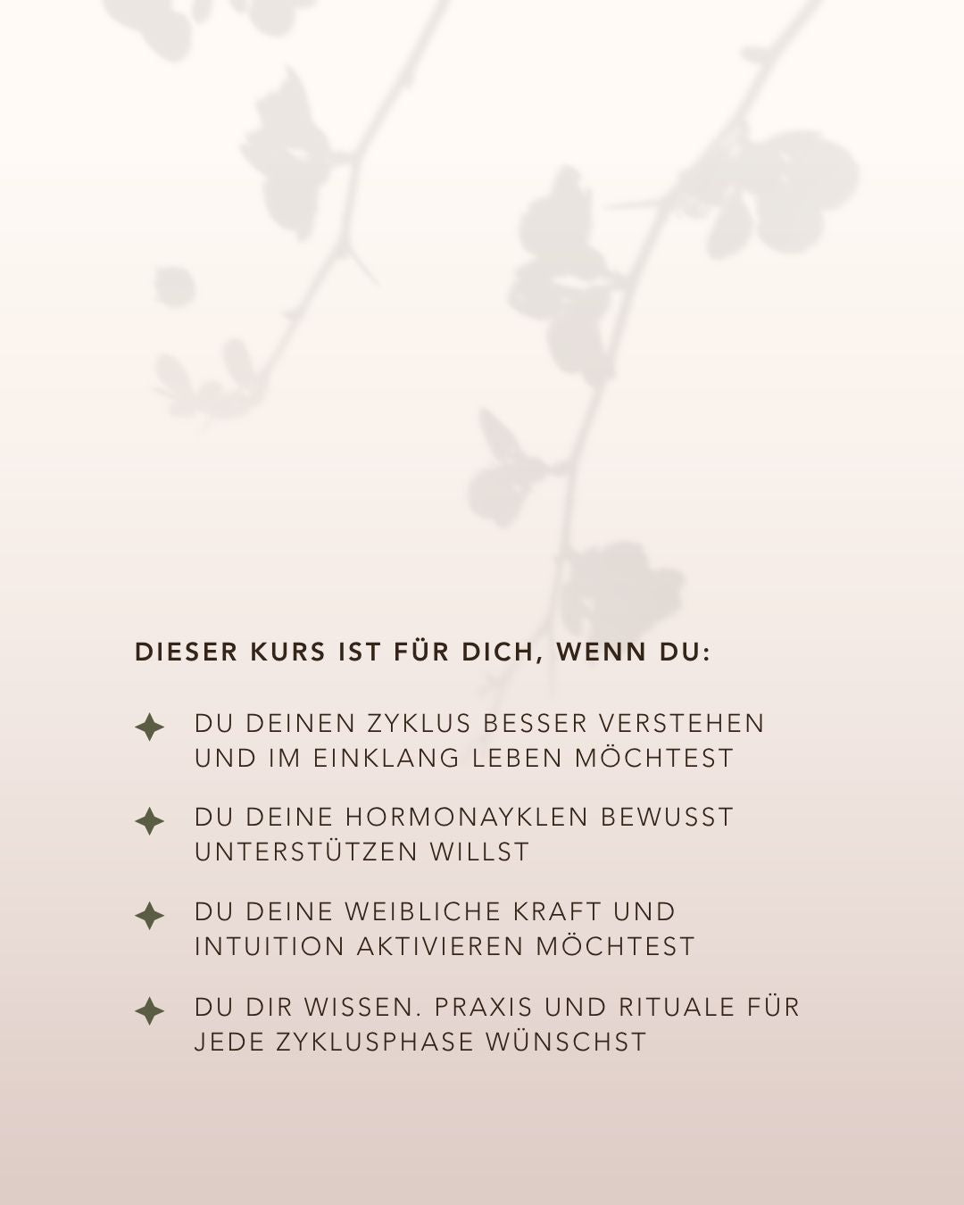 WOMAN CODES - In die Kraft deines Zyklus kommen