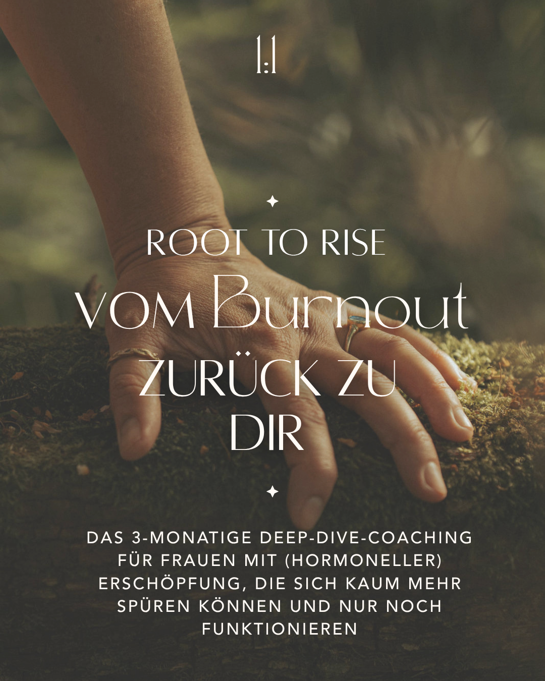 Root to Rise – dein ganzheitliches 1:1 Coaching bei Burnout & Erschöpfung